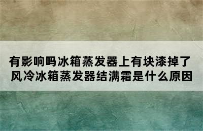 有影响吗冰箱蒸发器上有块漆掉了 风冷冰箱蒸发器结满霜是什么原因